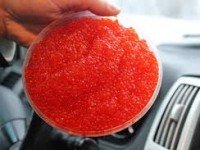 Икра из рыбы в домашних условиях – как ее готовили в Старой Руси