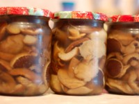 Маринованные грибы на зиму с лимонной кислотой