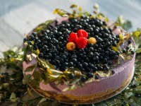 Чизкейк без выпечки с черникой – рецепт приготовления